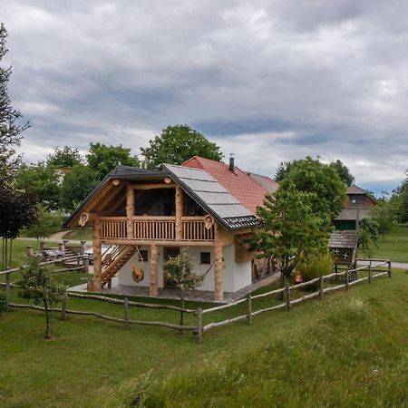 Holiday Home Virida, App Leopold III Ivancna Gorica Luaran gambar