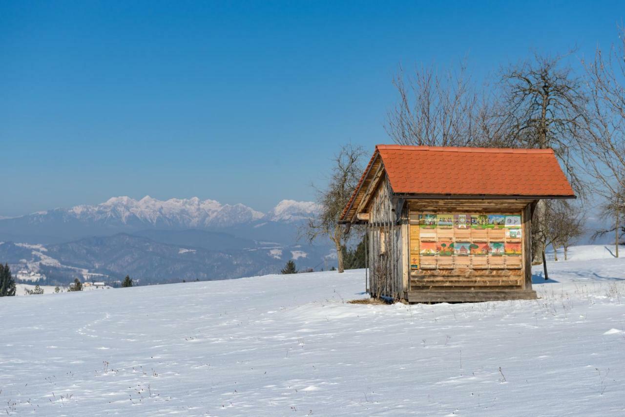 Holiday Home Virida, App Leopold III Ivancna Gorica Luaran gambar